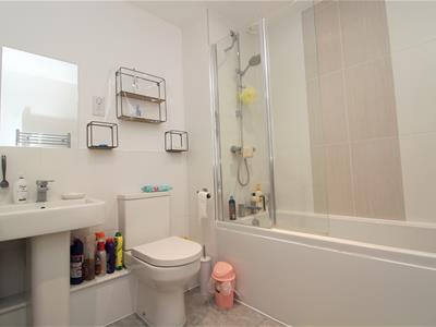 Picture 7